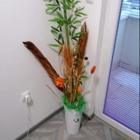 Apartment Your *